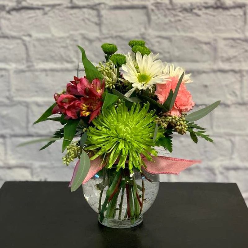 A Little Bit Of Cheer!