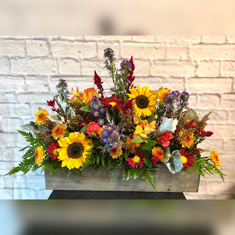 Fall Box of Blooms