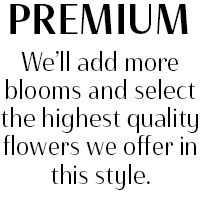Premium Option