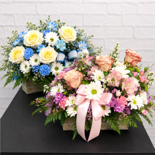Congratulations! Box of Blooms